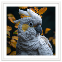 Yellow Crested Cockatoo Portrait Autumn Leaves Dark
