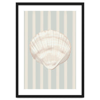 Sea shell