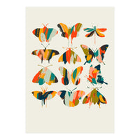 Colorful Butterflies (Print Only)