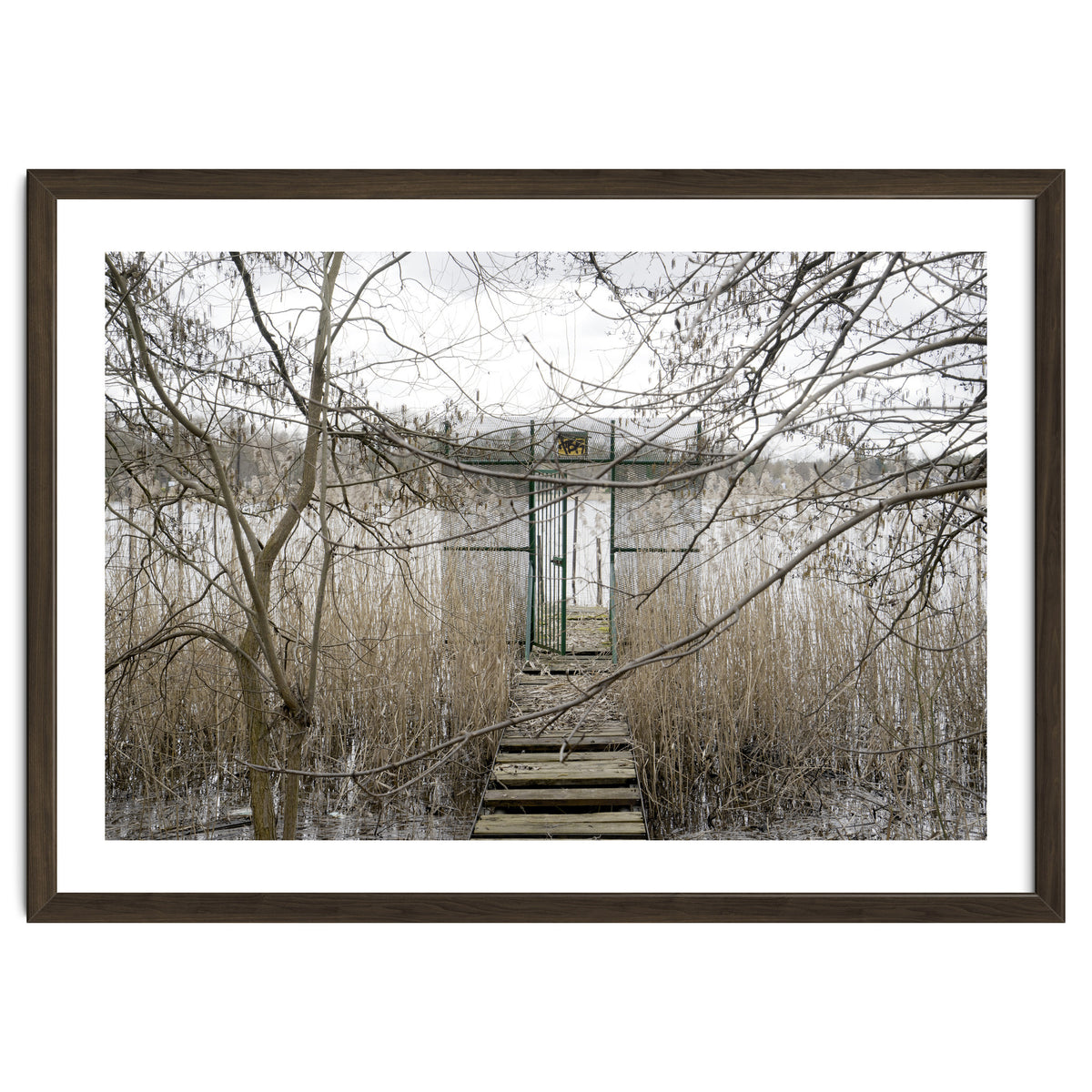 The gate to the lake