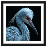 Striking Portrait Of A Blue Heron Bird thumbnail