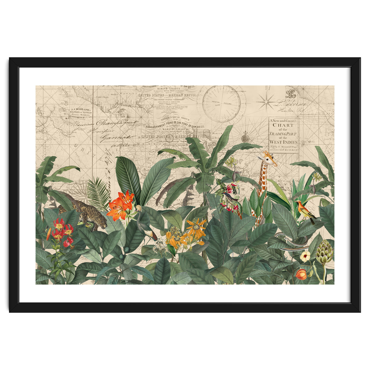 Explore The New World Wild Animals