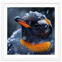 Close Up Penguin In Snow With Water Droplets