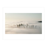Misty Peaks: Pine Forest Above the Clouds (Print Only) thumbnail