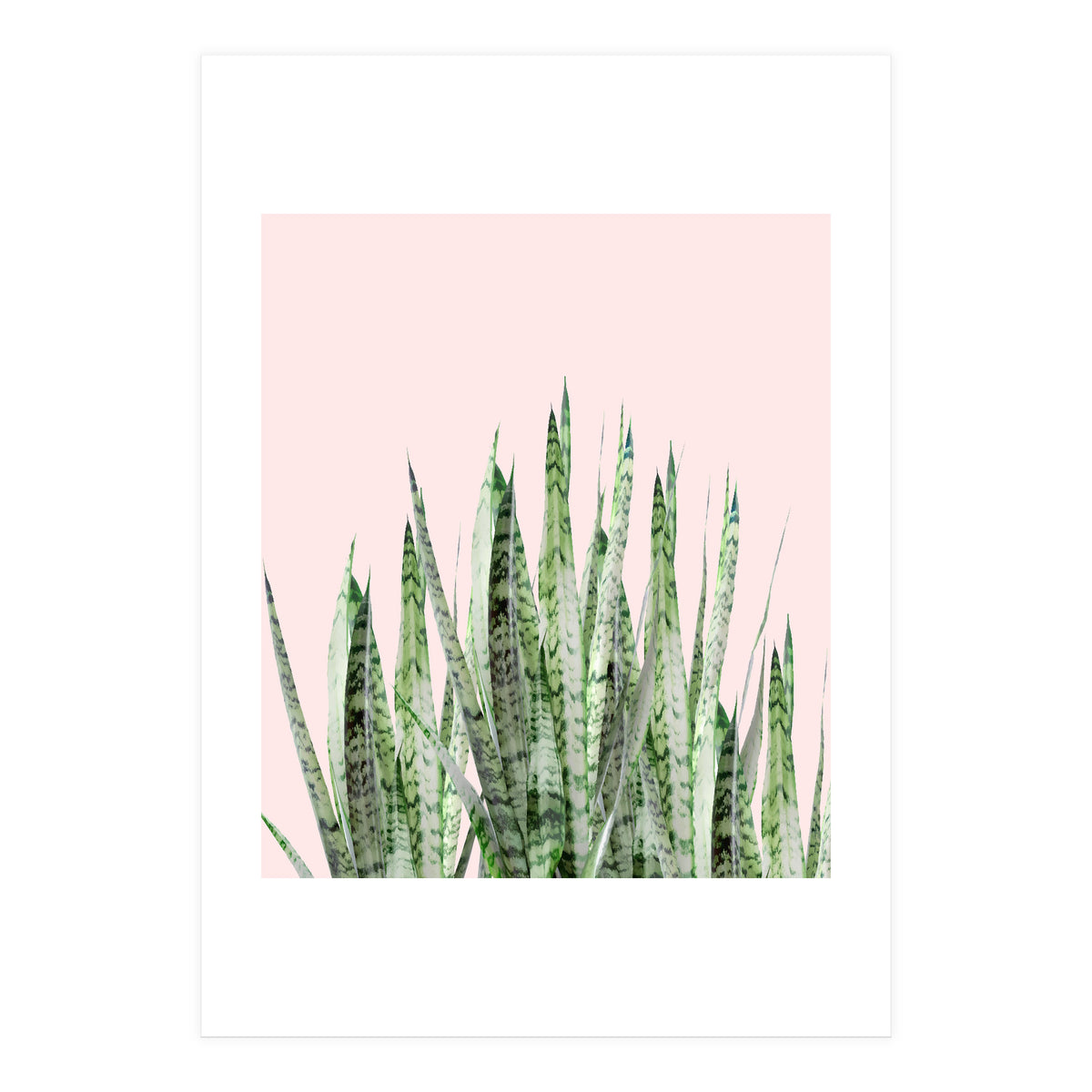 Botanical Balance (Print Only)