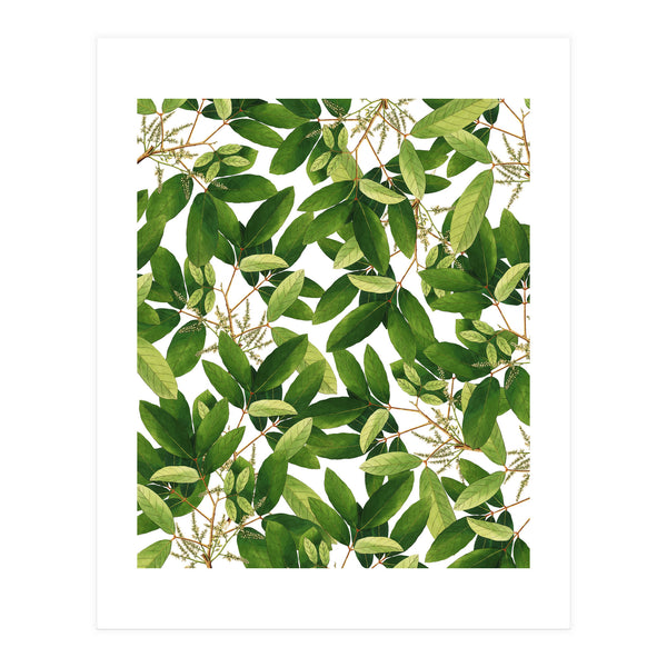 Greenery #society6 #decor #buyart (Print Only)