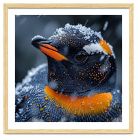 Close Up Penguin In Snow With Water Droplets