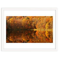 Autumn Reflections