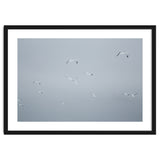 Flying seagulls in the winter sky thumbnail