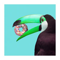 Sweet Toucan (Print Only)