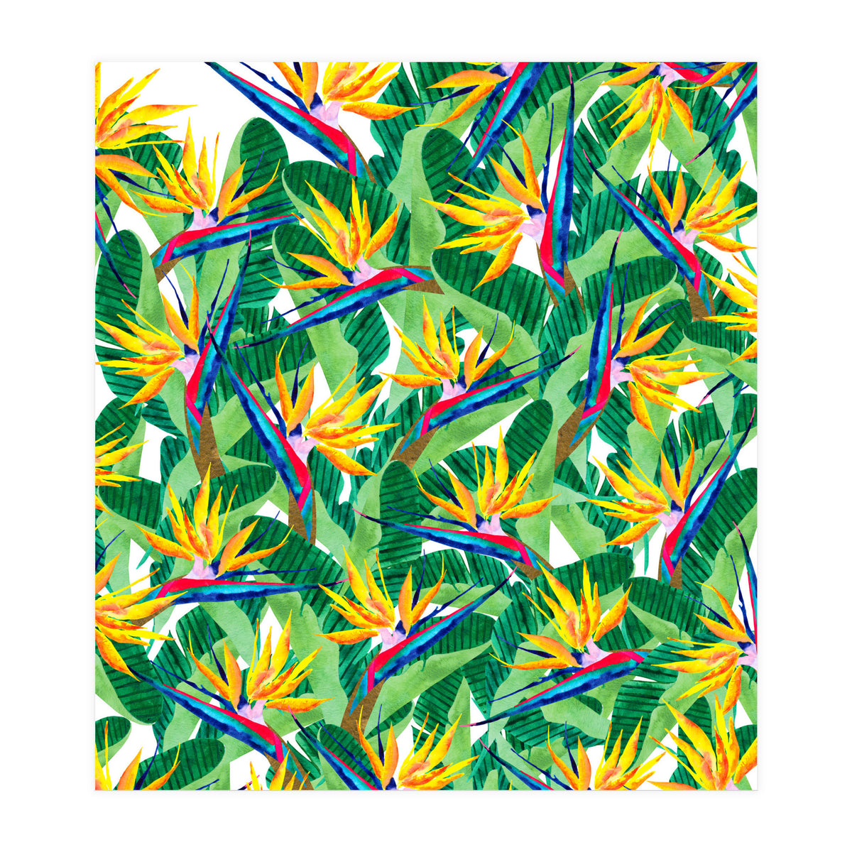 Summer Strelitzia (Print Only)
