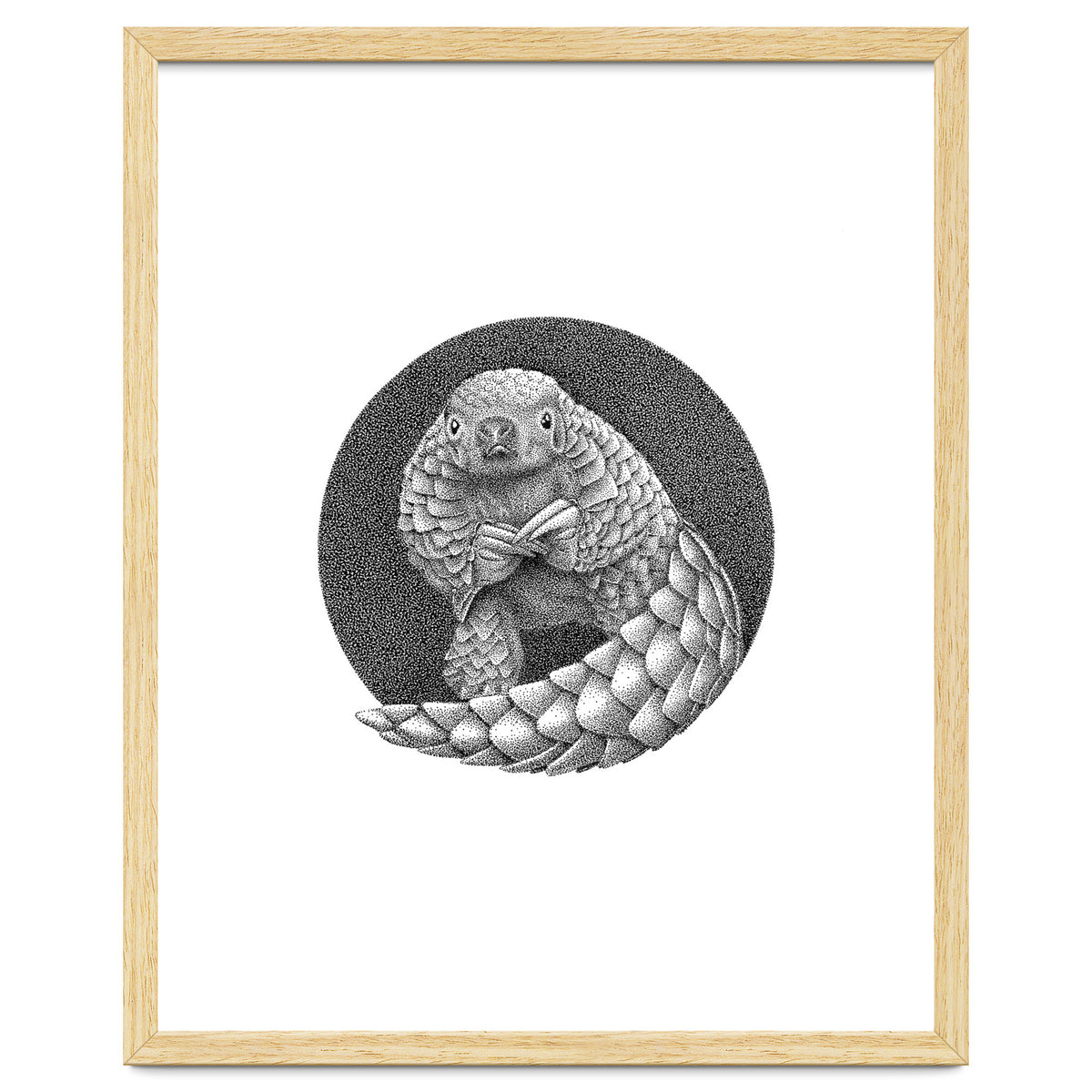 Pangolin no. 1