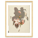 The First Plant · M2 thumbnail
