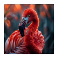 Vibrant Flamingo Close Up Portrait Outdoor Nature (Print Only)