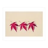 Dancing Leaves (Print Only) thumbnail