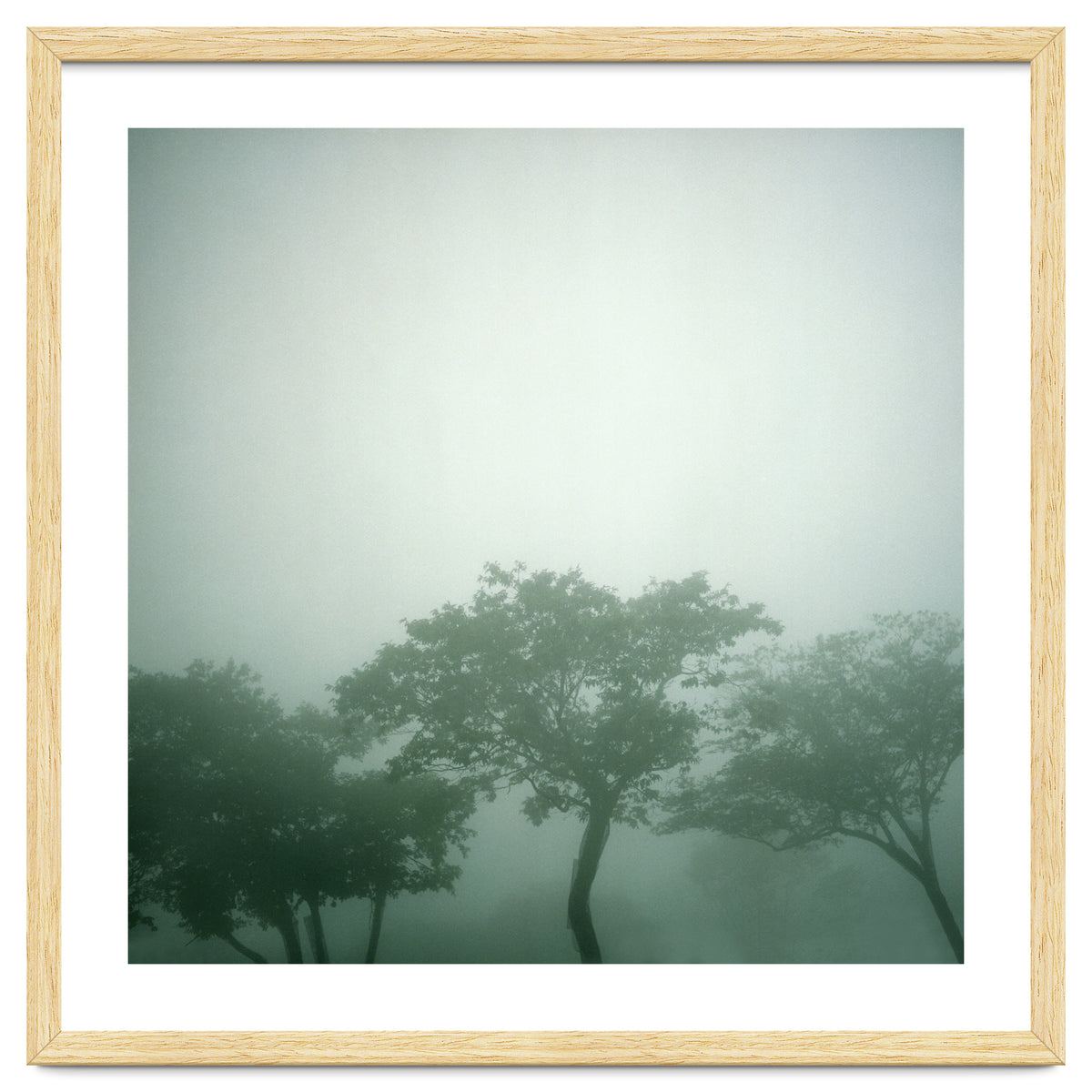 Silence of breath - 17