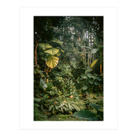 A small jungle in a green house (Print Only)