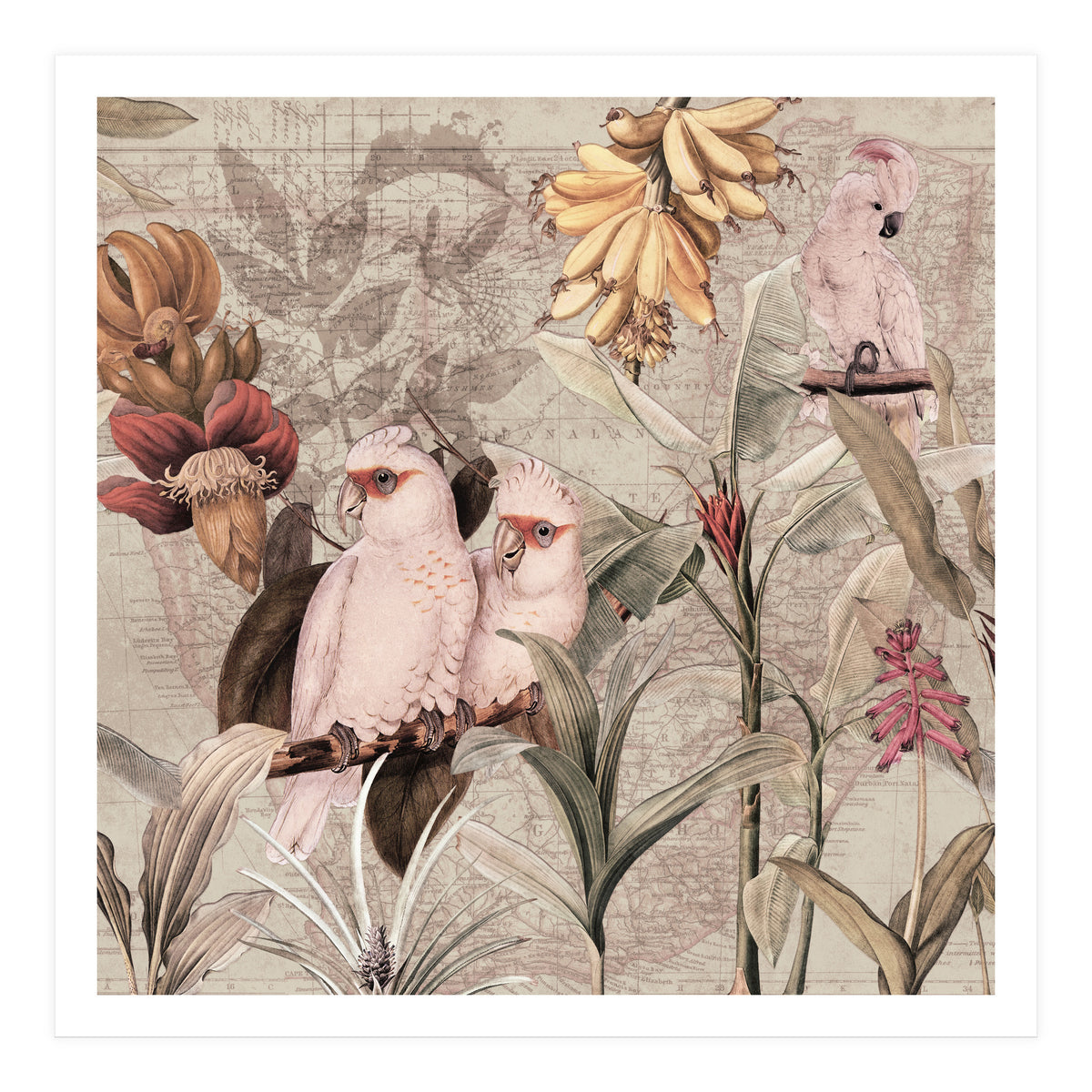 Cockatoo Exotic Bird Jungle  (Print Only)