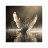 Graceful Swan Spreading Wings On Sparkling Water (Print Only) thumbnail