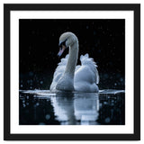 Majestic Swan Swimming In Dark Water thumbnail