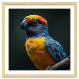 Close Up Colorful Parrot Perched On A Branch thumbnail