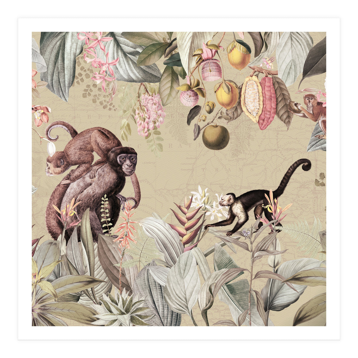 Vintage Exotic Monkeys In African Jungle Landscape (Print Only)