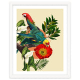 Birds Life thumbnail