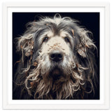 Old Dog 010 thumbnail