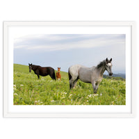 Equine Family