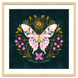 Butterfly And Sun thumbnail