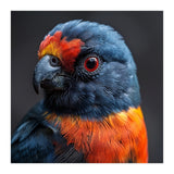 Close Up Portrait Of A Colorful Parrot (Print Only) thumbnail