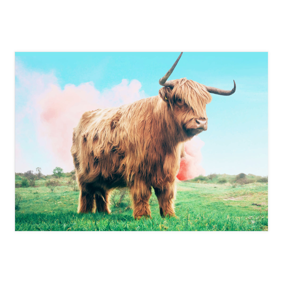 Highland Cow #society6 #decor #buyart (Print Only)