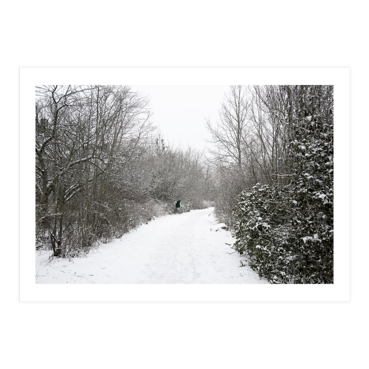 Walking through the snow park (Print Only)