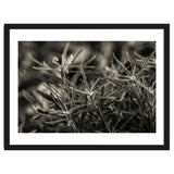 Rosemary Plant thumbnail