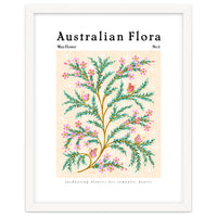 Australian Flora: Wax Flower