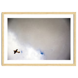 The Little Prince thumbnail
