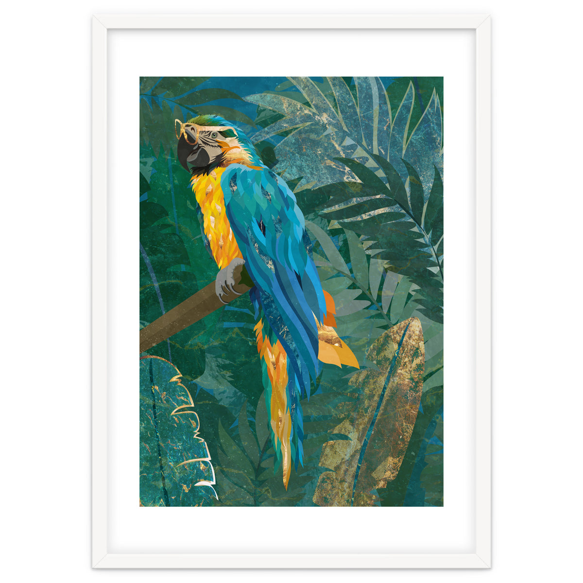 Macaw in the jungle