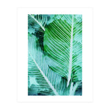 Rearranged Beauty (Print Only) thumbnail