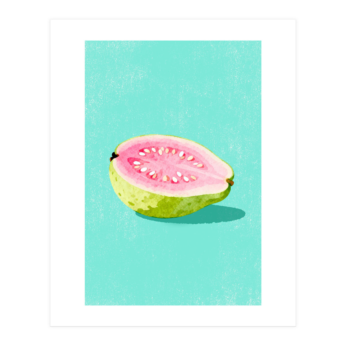 Guava Fruit Illustration (Print Only)