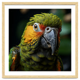 Close Up Of A Colorful Macaw Parrot Face thumbnail