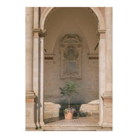 Sacred Olive Tree at the Cathedral (Print Only)