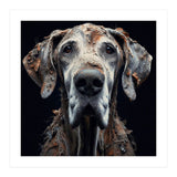 Old Dog 04 (Print Only) thumbnail
