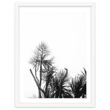Miminalist Palm thumbnail
