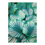 Intemporel #society6 #decor #buyart (Print Only) thumbnail