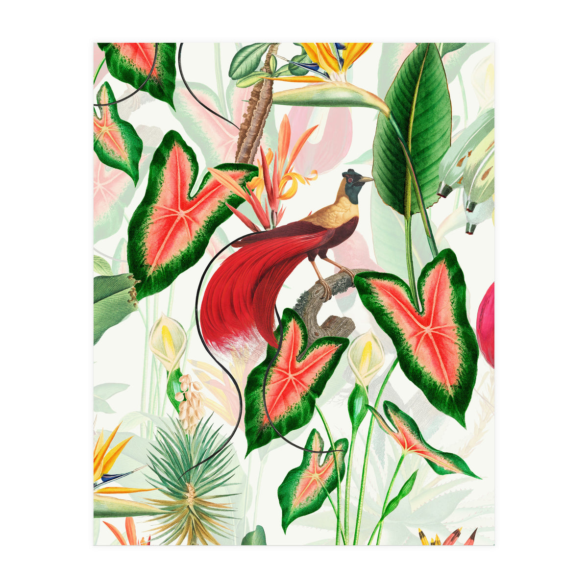 Vintage Bird Of Paradise in Jungle (Print Only)