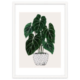 Philodendron Plant thumbnail