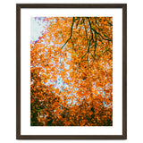 Autumn Leaves thumbnail