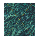 Restricted Reality (Print Only) thumbnail