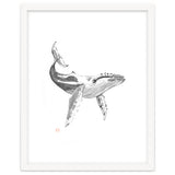 Whale thumbnail