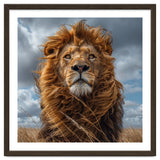 Majestic Lion Portrait Windblown Mane Outdoors thumbnail